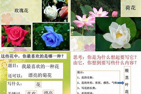 写一篇我喜欢的花。
(300字)