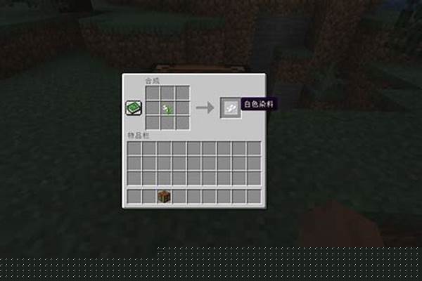 我的世界,这个白色方块是什么