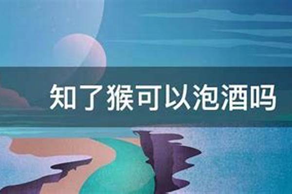 知了可以泡酒吗