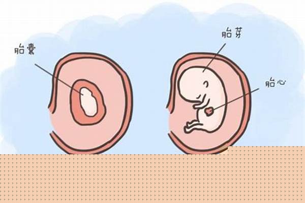缺氧测试版-孕早期若胎儿缺氧,会有什么表现